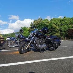 シンプソン　グローブLLの画像