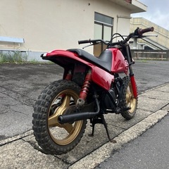 PW50  キッズバイク　競技用の画像