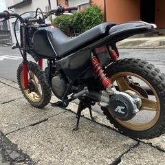 PW50  キッズバイク　競技用の画像