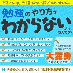 【京都府宮津市】家庭教師のわっふる（株式会社HAKU）勉強が大っ嫌いな子専門の家庭教師｜26205の画像
