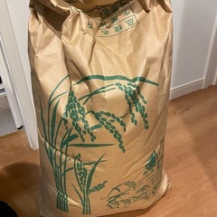 お米ヒノヒカリ(令和6年)10kg
