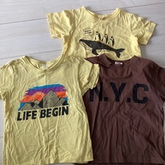 120㎝　Tシャツ 3点セット　　　
