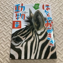 新品　動物図鑑ほんとのおおきさ図鑑