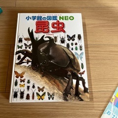 昆虫図鑑