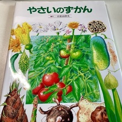 新品未使用  「やさいのずかん」 小宮山 洋夫 定価: ￥ 1400