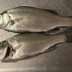 お話聞かせてくれませんか?