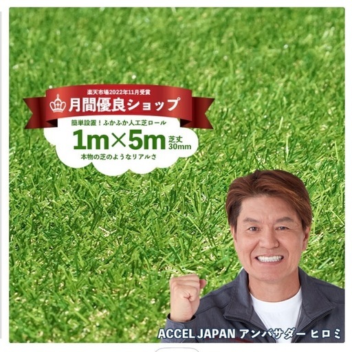 人工芝　1m×5m 4本