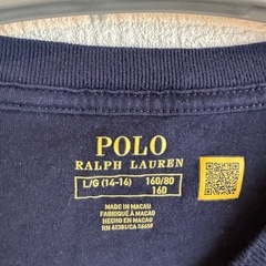 ポロラルフローレン　Tシャツ160cmの画像