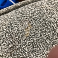 受付再開　Lowya ソファ グレー　お譲りします♪の画像