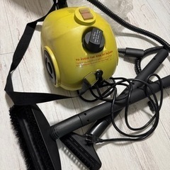 スチームクリーナーの画像