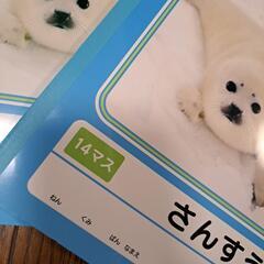 ステディ学習帳さんすうの画像