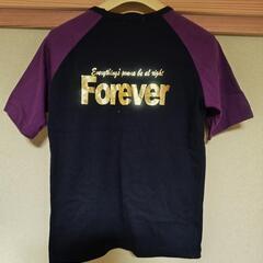 Ｔシャツの画像
