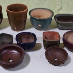 中古品 ミニ盆栽鉢(A) 13個