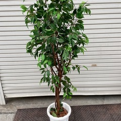 ★ フェイクグリーン 全長約170cm フロアグリーン 造花　