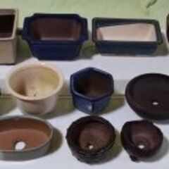 中古品 ミニ盆栽鉢(B) 12個の画像