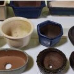中古品 ミニ盆栽鉢(B) 12個の画像