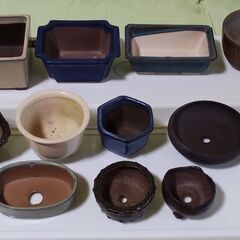 中古品 ミニ盆栽鉢(B) 12個