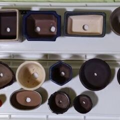 中古品 ミニ盆栽鉢(B) 12個の画像