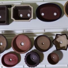 中古品 ミニ盆栽鉢(C) 12個の画像