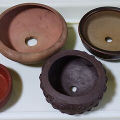 中古品 ミニ盆栽鉢(C) 12個の画像
