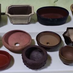 中古品 ミニ盆栽鉢(C) 12個