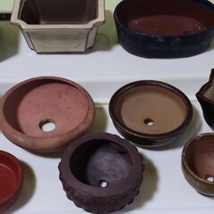 中古品 ミニ盆栽鉢(C) 12個の画像