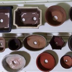 中古品 ミニ盆栽鉢(D) 12個の画像