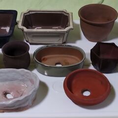 中古品 ミニ盆栽鉢(D) 12個