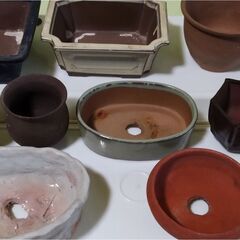 中古品 ミニ盆栽鉢(D) 12個の画像