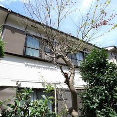 ⭐️トリプルゼロ物件⭐️ 敷金/礼金/仲手0円 😄審査通過…