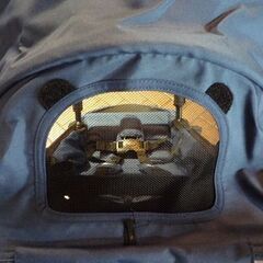 折りたたみ式 ベビーカー baby jogger シティツアー コバルト(ブルー系) 生後6カ月〜5歳頃 取扱説明書付き 持ち運び用バッグ欠品 ベビージョガー 札幌市東区 新道東店の画像