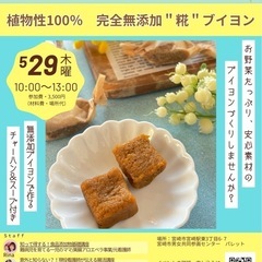 発酵料理アドバイザーとつくる！無添加ブイヨン作り👩‍🍳