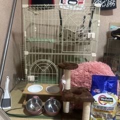 猫ちゃん飼育セット 7点
