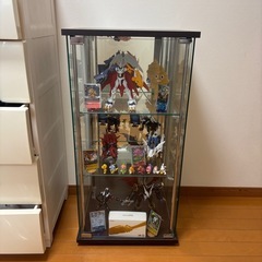 ガラスコレクションケース