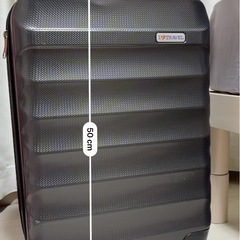 キャリーバックの画像