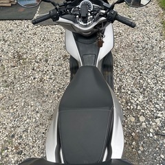 東京福生市からPCX125 JF56 走行距離12000キロ未満　5月末まで出品の画像