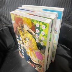 ある日お姫様になってしまった件についての画像