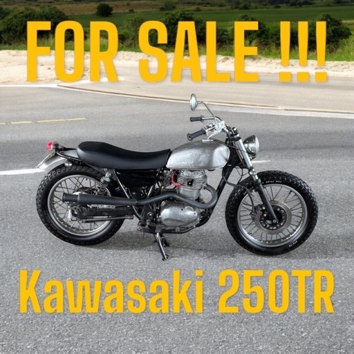 Kawasaki 250tr ジョッキーシフト　自賠責令和10年まで