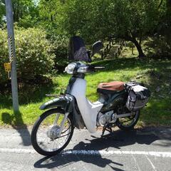スーパーカブ50