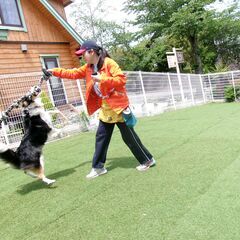 ＼犬好き大歓迎♪／犬の幼稚園スタッフ募集！