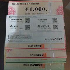 ビックカメラ優待券9000円分