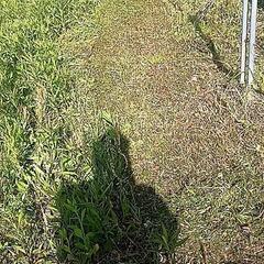 草刈り致します。草刈りした後が綺麗です。