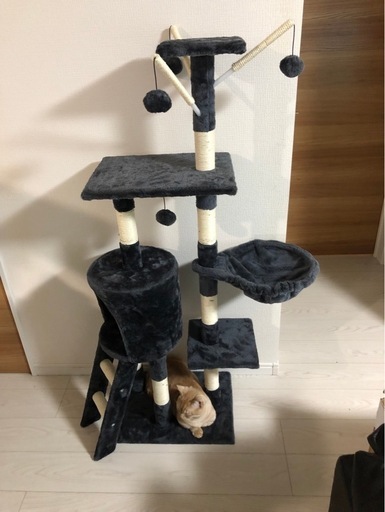 キャットタワー