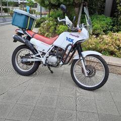 ホンダNX125改223ccエンジン換装正規軽二輪登録アドベンチャー風味の画像