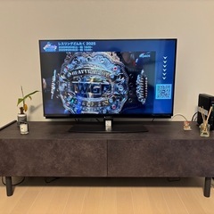 パモウナ テレビ台 Web限定カラー