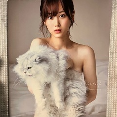 乃木坂　写真集11冊　まとめ売りの画像