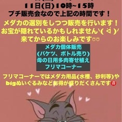 メダカイベント 中間市土手ノ内