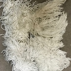 モップの画像