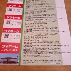 値下げタマスタ筑後内野指定席5月21日(水曜)17時ソフトバンク対中日