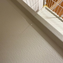 ☆取引先決まりました☆キャットゲージ 猫用ゲージ 3段の画像